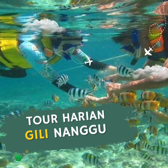 Trip Gili Nanggu